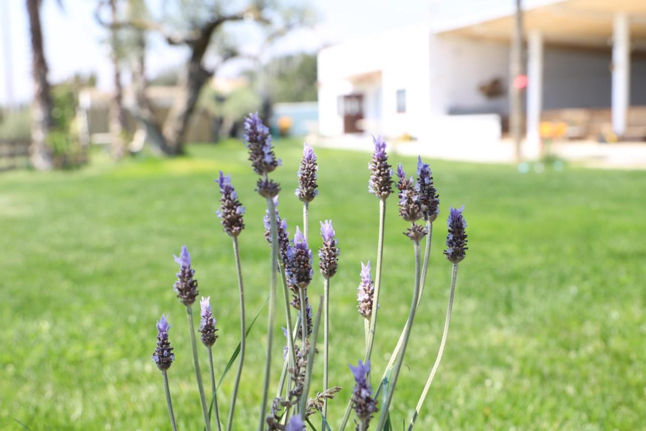 La Finestra Del Delta Guest House L'Ampolla Exterior photo